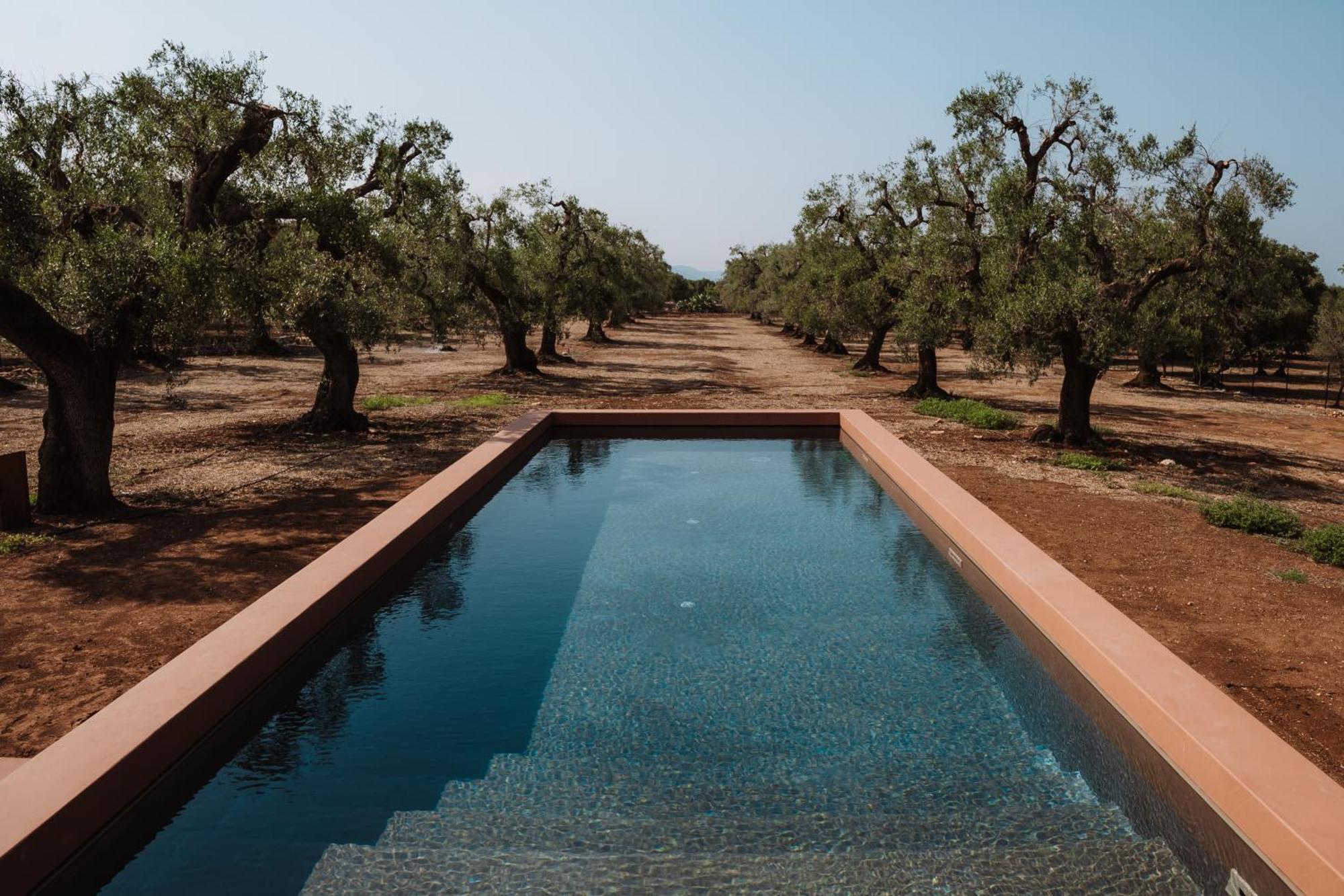 Bed and Breakfast Ozio - Il Trullo Rosso Fasano Esterno foto